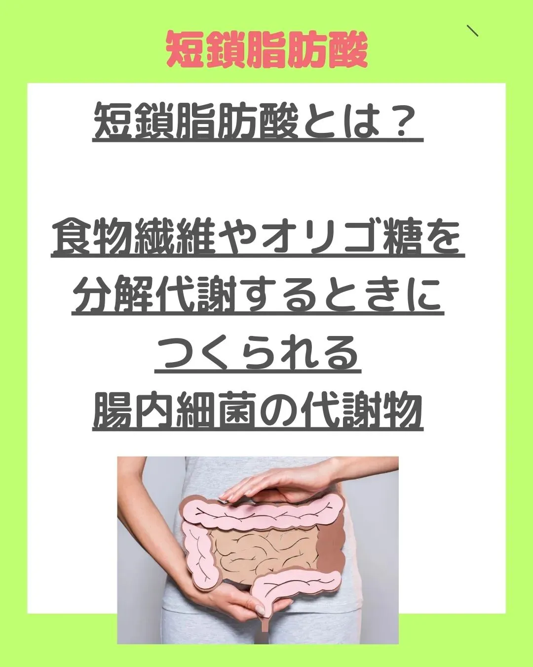 【腸内環境を整え痩せやすくなる食べ物とは?】@cocoro_...