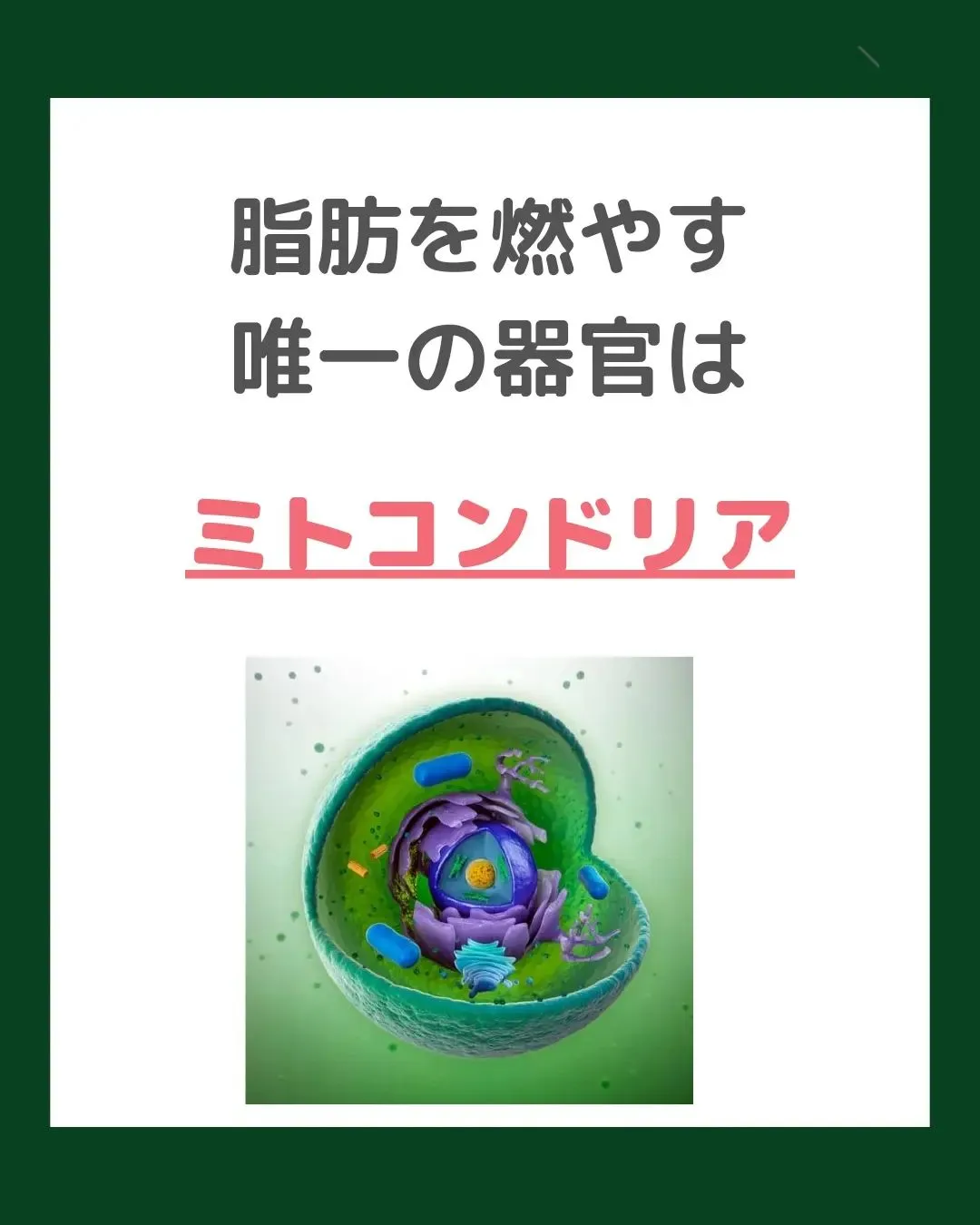 【ミトコンドリアとは】@cocoro_shinjuku 